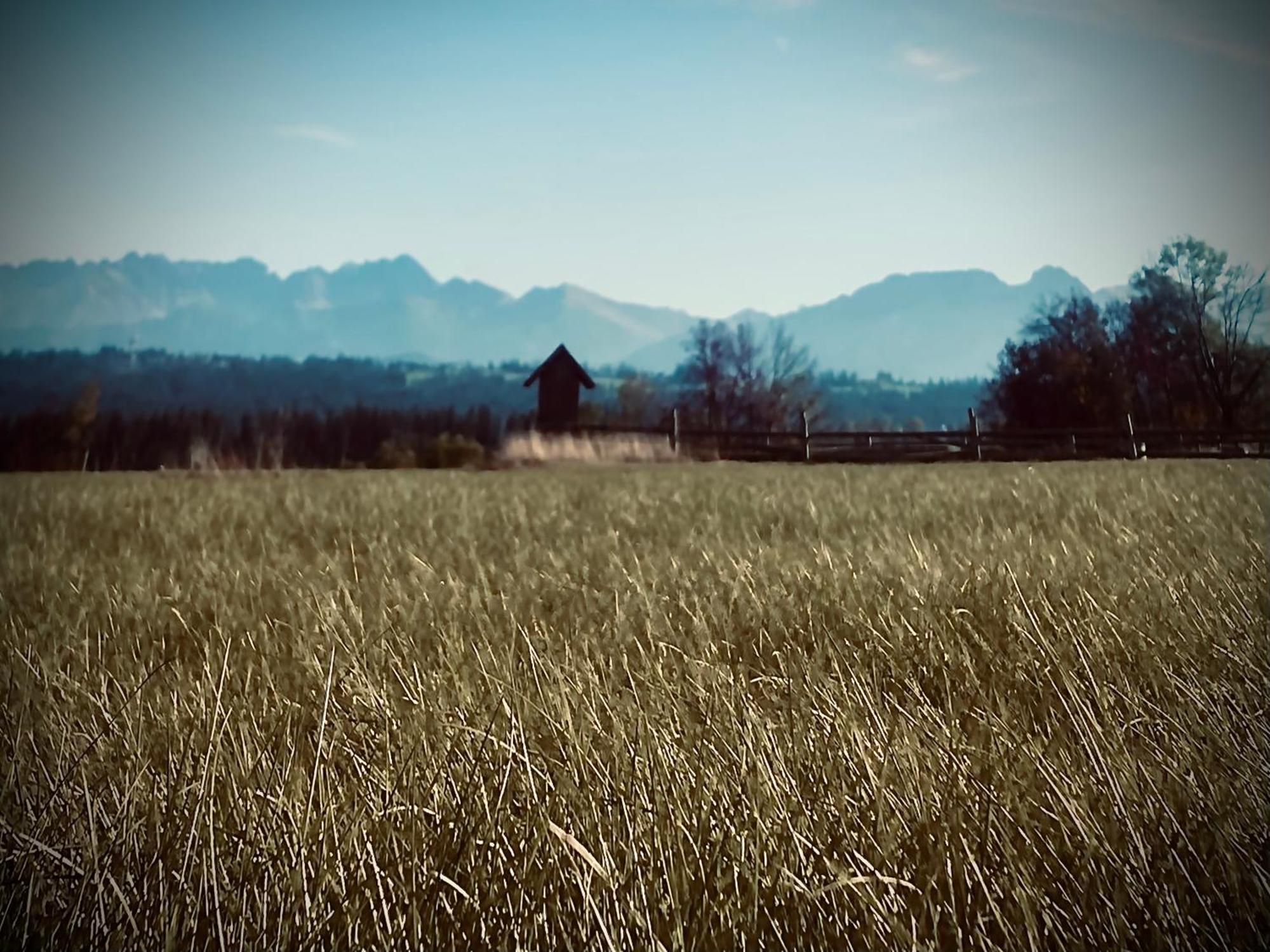 Malowany Domek W Gorach Ciche  Bagian luar foto