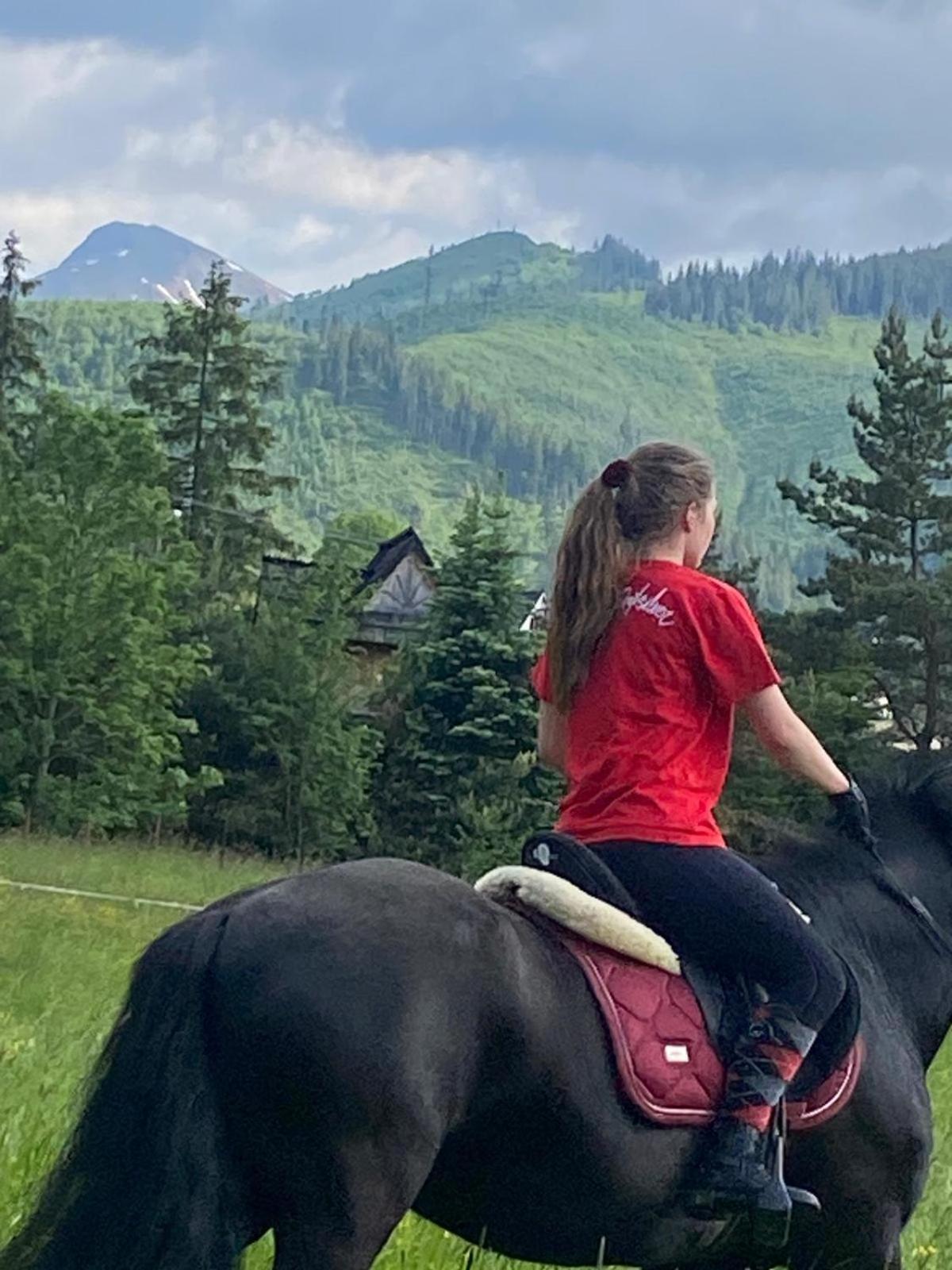 Malowany Domek W Gorach Ciche  Bagian luar foto